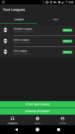 The home page shows all your leagues.